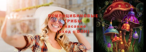 прущие грибы Лагань
