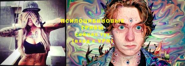 прущие грибы Лагань