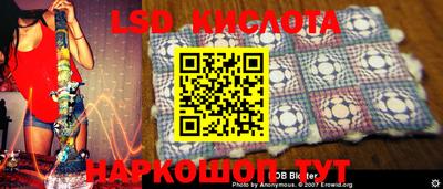 гашик Донской