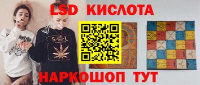 гашик Донской