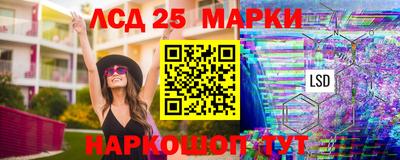 гашик Донской