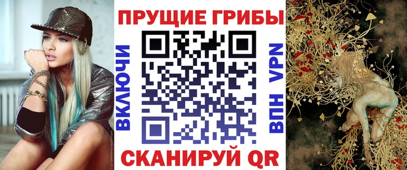 кракен ONION  Михайловка  Галлюциногенные грибы Psilocybe 
