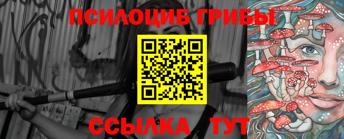 Михайловка  Галлюциногенные грибы ЛСД  Вход с VPN 