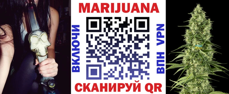 Конопля сатива Михайловка